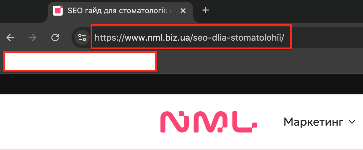 seo optymizovanyi url storinky